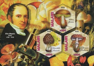 Mushrooms Mycologists Elias Magnus Fries Souvenir Sheet of 3 Stamps Mint NH