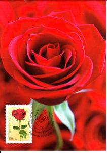 Australia 2008 Maxicard Scott #2771 50c Red Rose