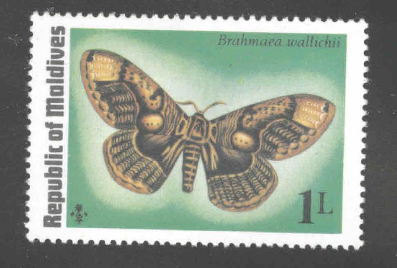 Maldive Islands Scott 584 MNH** 1975 Butterfly stamp