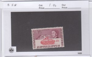 British Antarctic 3 Muskeg mint