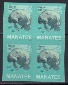 United States 2024 Manatee (Trichechus sp) (Block of 4) MNH