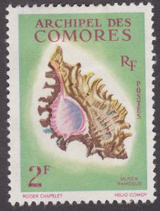 Comoro Islands 50 SeaShells 1962
