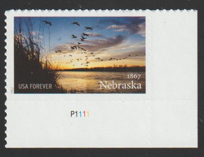 SC# 5179 - (49c) - Nebraska Statehood - 150 Anniv, MNH LR Plate # Single P1111