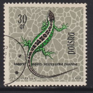 Poland 1134 Sand Lizard 1963