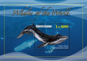 Sierra Leone - Whales -  Stamp Souvenir Sheet - SIE1036S