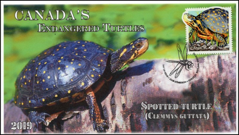 CA19-017, 2019, Endangered Turtles, Pictorial Postmark, First Day Cover, Spotted 