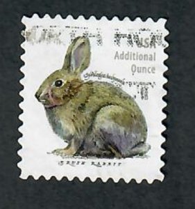 5544 Rabbit Used Single