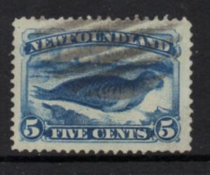 Newfoundland Sc 55 1894 5 c bright blue seal stamp used