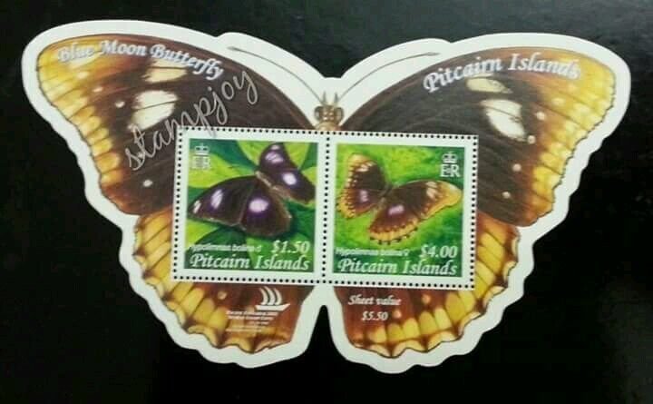 *FREE SHIP Pitcairn Islands Moth 2005 Butterfly Insect (ms) MNH *odd *unusual