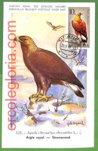 32916 - ALBANIA - MAXIMUM CARD - 1967 - FAUNA, BIRDS-