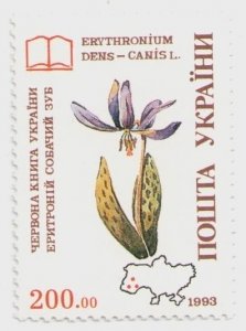 1993 stamp Red Book of Ukraine. Dog`s tooth Flora Plant world. Flowers, MNH