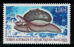 FSAT TAAF Snail Volute de Charcot 2005 MNH SC#352 SG#538 MI#564