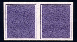 US TD95a Test Stamp 1954 framed rectangle imperf coil pair violet NH