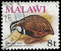 MALAWI   #237 USED (1)