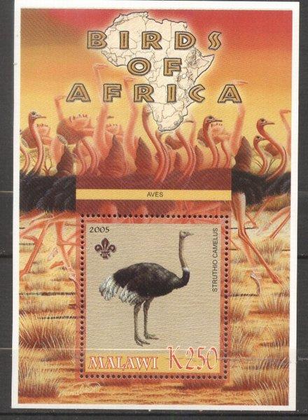 Malawi 2005 Wild Animals, Africa, Ostriches, perf. sheet, MNH   S.222