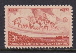 1061 Kansas Territory MNH