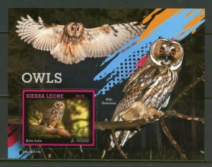 SIERRA  LEONE  2019  OWLS  SOUVENIR SHEET  MINT NEVER HINGED