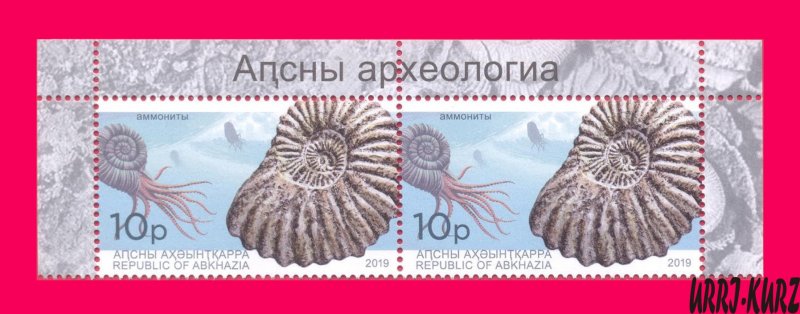 ABKHAZIA 2019 Fauna Marine Shell Fossil Extinct Cephalopod Ammonite Archaeology