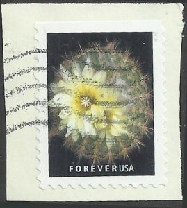 # 5356 Used Cactus Flowers