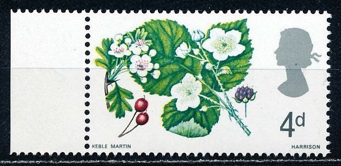 Great Britain #488 Single MNH