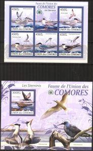 Comoro Islands 2009 Birds Terns Sheet + S/S MNH