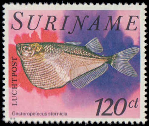 Suriname #504-508, Complete Set(8), 1978, Fish, Never Hinged