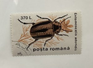 Romania 1996 Scott 4084  CTO -  370 l,  insects