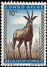 BELGIAN CONGO   #306 USED (1)