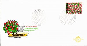 Norfolk Islands, Worldwide First Day Cover, Flowers