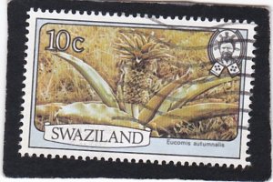 Swaziland,  #   353     used