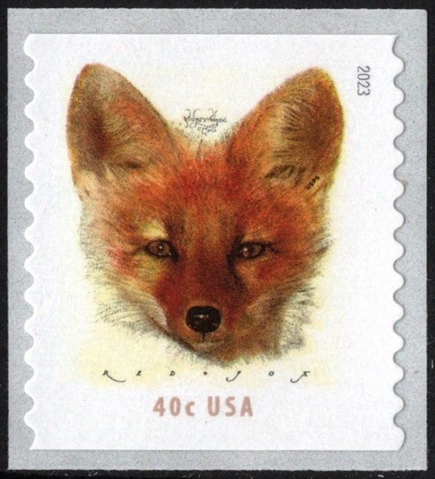 NEW ISSUE 40¢ Red Fox Coil Single (2023) SA