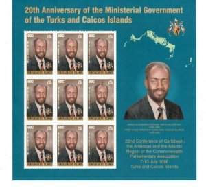 Turks and Caicos 1996 - Parliament - Sheet of 9 Stamps - Scott #1209 - MNH