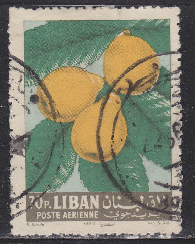 Lebanon C365 Loquats 1962