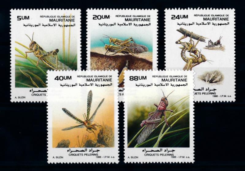 [70768] Mauritania 1988 Insects Grasshopper  MNH