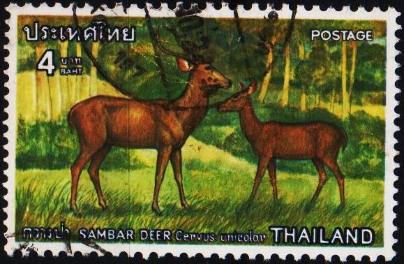Thailand. 1976 4b S.G.915 Fine Used