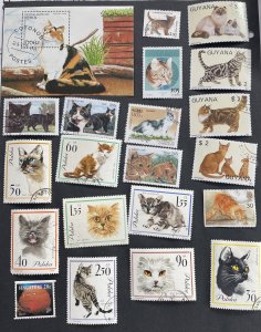 World  Wide Cat Stamps Mixture Cute Selection some series.  Free Shipping