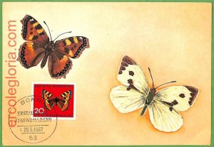 32395 - Germany - MAXIMUM CARD - 25.5.1962 - butterflies-