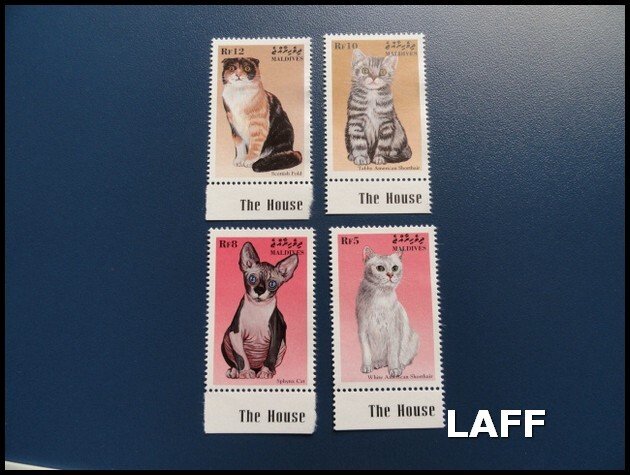 Maldives - Cats - Set MNH