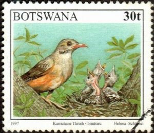 Botswana 625 - Used - 30t Kurrichane Thrush (1997) (cv $1.20)