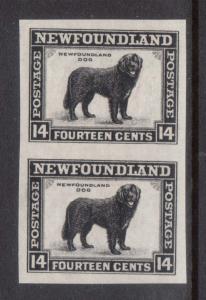 Newfoundland #194a XF/NH Imperf Pair