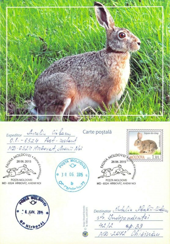 Moldova 2016 PSC  with FD Cancel rabbit hare hunting game