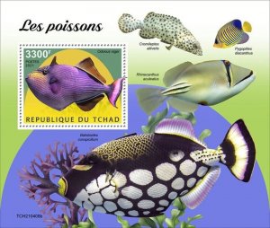 Chad - 2021 Redtoothed Triggerfish - Stamp Souvenir Sheet - TCH210408b