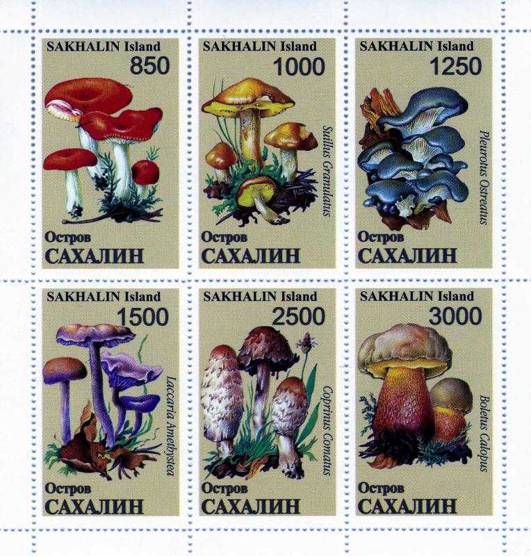 Sakhalin Island 1997 MUSHROOMS Sheet (6) Perforated Mint (NH)