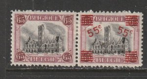 1920 Belgium - Sc 143a - MH F - 1 pair - Town Hall