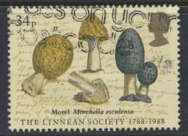 Great Britain SG 1383 -  Used - Linnean Society