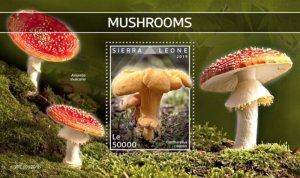 Sierra Leone - 2019 Mushrooms on Stamps - Stamp Souvenir Sheet - SRL191201b