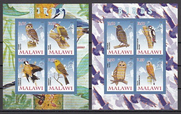 Malawi, 2008 Cinderella issue. Birds & Owl, 2 IMPERF sheets of 4. ^