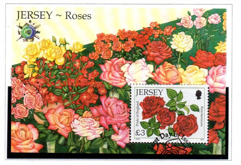 Jersey Sc 1455 2010 £3 Roses stamp sheet used