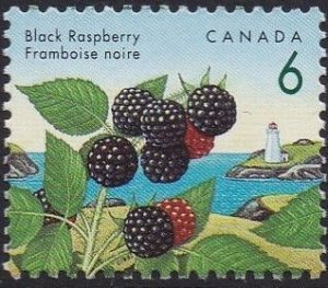 1353 Black Raspberry MNH