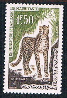 Mauritania 136 MLH Cheetah (BP10325)